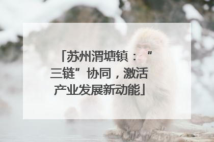 苏州渭塘镇：“三链”协同，激活产业发展新动能