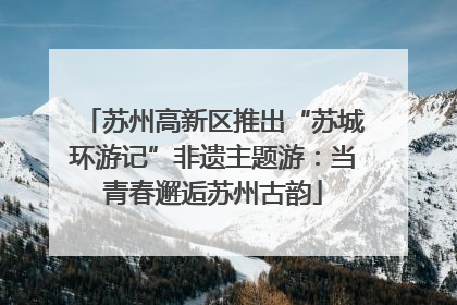 苏州高新区推出“苏城环游记”非遗主题游：当青春邂逅苏州古韵