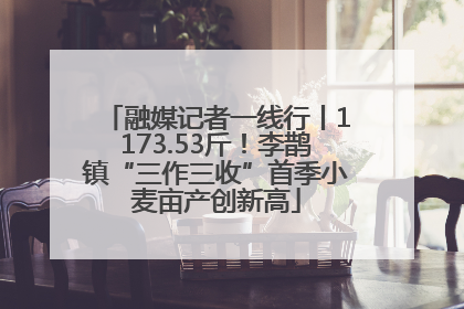 融媒记者一线行丨1173.53斤！李鹊镇“三作三收”首季小麦亩产创新高