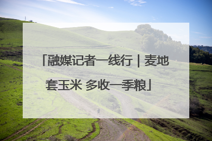 融媒记者一线行｜麦地套玉米 多收一季粮