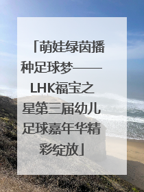 萌娃绿茵播种足球梦——LHK福宝之星第三届幼儿足球嘉年华精彩绽放
