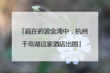 藏在碧波金湾中，杭州千岛湖这家酒店出圈