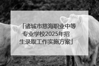 诸城市慈海职业中等专业学校2025年招生录取工作实施方案