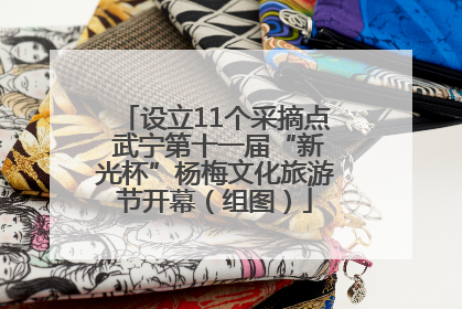 设立11个采摘点 武宁第十一届“新光杯”杨梅文化旅游节开幕（组图）
