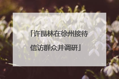 许昆林在徐州接待信访群众并调研