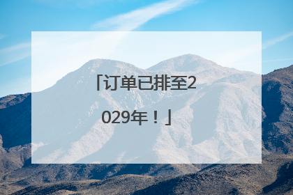 订单已排至2029年！