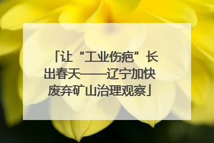 让“工业伤疤”长出春天——辽宁加快废弃矿山治理观察