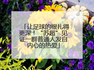 让足球的根扎得更深！“苏超”见证一群普通人发自内心的热爱