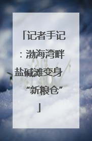 记者手记：渤海湾畔盐碱滩变身“新粮仓”