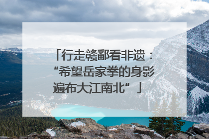 行走赣鄱看非遗：“希望岳家拳的身影遍布大江南北”