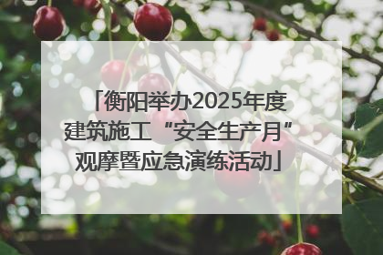 衡阳举办2025年度建筑施工“安全生产月”观摩暨应急演练活动