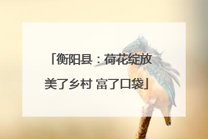 衡阳县：荷花绽放 美了乡村 富了口袋