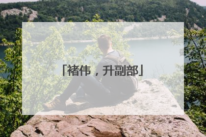 褚伟，升副部