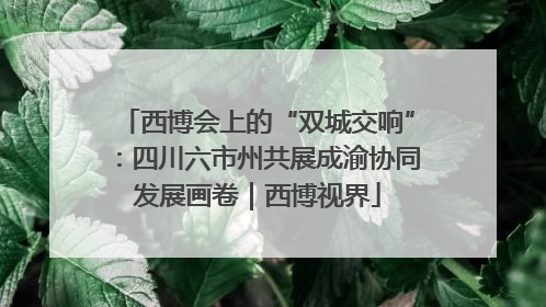 西博会上的“双城交响”：四川六市州共展成渝协同发展画卷｜西博视界