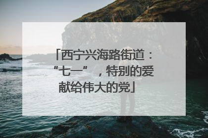 西宁兴海路街道：“七一”，特别的爱献给伟大的党