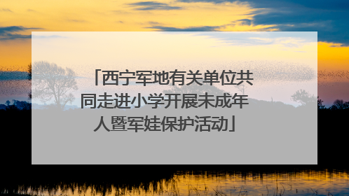 西宁军地有关单位共同走进小学开展未成年人暨军娃保护活动