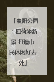 襄阳公园：植荷添新景 打造市民休闲好去处
