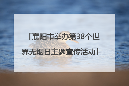 襄阳市举办第38个世界无烟日主题宣传活动