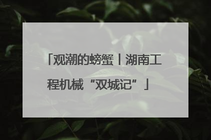 观潮的螃蟹丨湖南工程机械“双城记”