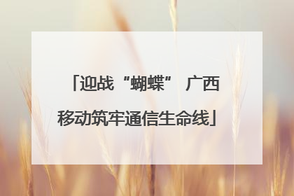 迎战“蝴蝶” 广西移动筑牢通信生命线