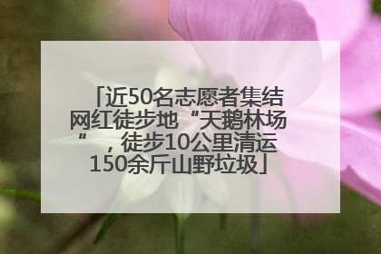 近50名志愿者集结网红徒步地“天鹅林场”，徒步10公里清运150余斤山野垃圾