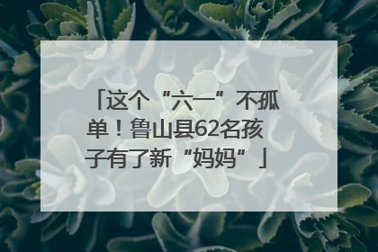这个“六一”不孤单！鲁山县62名孩子有了新“妈妈”