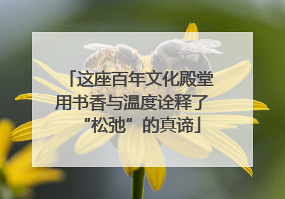 这座百年文化殿堂用书香与温度诠释了“松弛”的真谛
