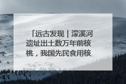 远古发现｜濛溪河遗址出土数万年前核桃，我国先民食用核桃历史大幅提前