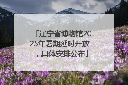 辽宁省博物馆2025年暑期延时开放，具体安排公布