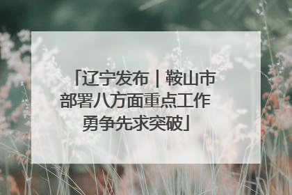 辽宁发布｜鞍山市部署八方面重点工作勇争先求突破
