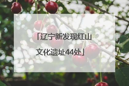 辽宁新发现红山文化遗址44处
