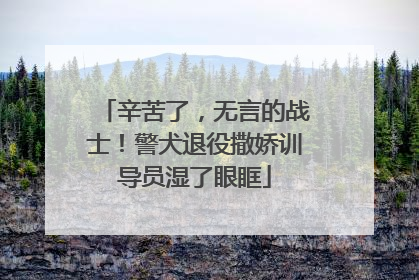 辛苦了，无言的战士！警犬退役撒娇训导员湿了眼眶