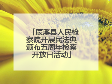 辰溪县人民检察院开展民法典颁布五周年检察开放日活动