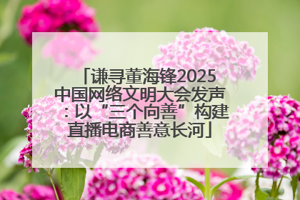 谦寻董海锋2025中国网络文明大会发声：以“三个向善”构建直播电商善意长河