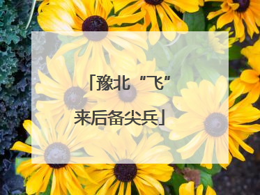 豫北“飞”来后备尖兵