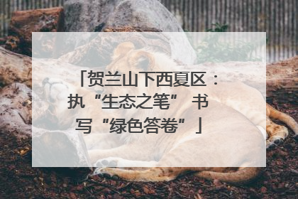 贺兰山下西夏区：执“生态之笔” 书写“绿色答卷”
