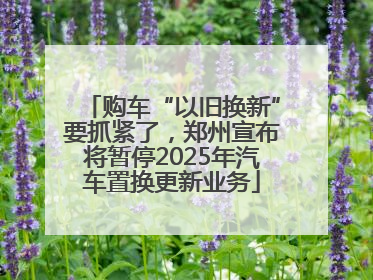 购车“以旧换新”要抓紧了，郑州宣布将暂停2025年汽车置换更新业务