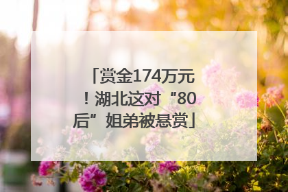 赏金174万元！湖北这对“80后”姐弟被悬赏
