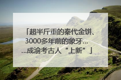 超半斤重的秦代金饼、3000多年前的象牙……成渝考古人“上新”