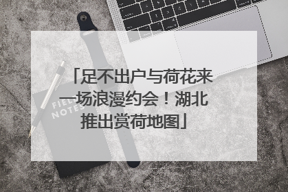 足不出户与荷花来一场浪漫约会！湖北推出赏荷地图