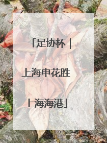 足协杯｜上海申花胜上海海港