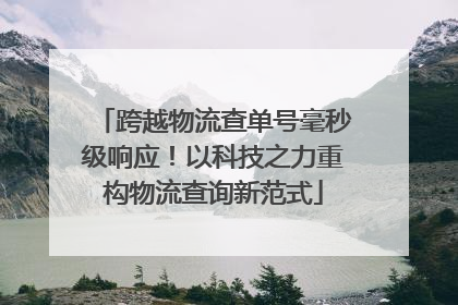 跨越物流查单号毫秒级响应！以科技之力重构物流查询新范式