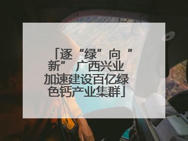 逐“绿”向“新” 广西兴业加速建设百亿绿色钙产业集群