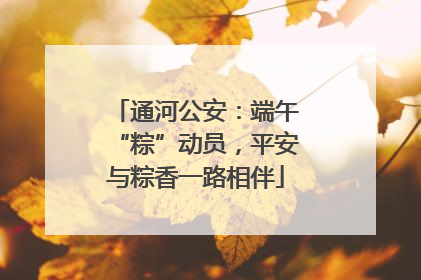 通河公安：端午“粽”动员，平安与粽香一路相伴