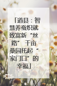 道县：智慧养蚕织就致富新“丝路” 千亩桑园托起“家门口”的幸福