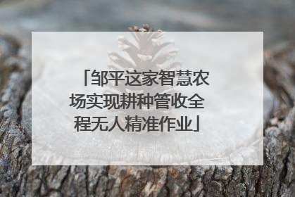 邹平这家智慧农场实现耕种管收全程无人精准作业
