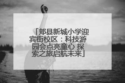 郏县新城小学迎宾街校区：科技游园会点亮童心 探索之旅启航未来
