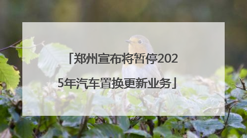 郑州宣布将暂停2025年汽车置换更新业务