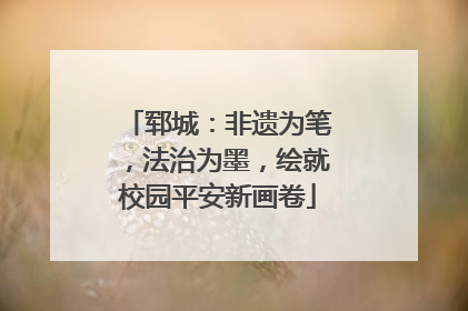 郓城：非遗为笔，法治为墨，绘就校园平安新画卷