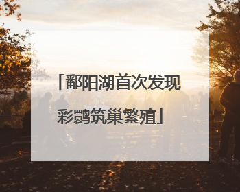 鄱阳湖首次发现彩鹮筑巢繁殖